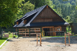 10a.jpg